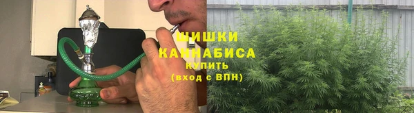 Альфа ПВП Пестово